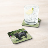 Black Pug Standing View Camera Drankjes Onderzetter (Rechterzijde)