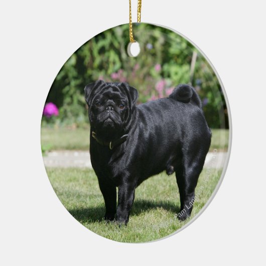 Black Pug Standing View Camera Keramisch Ornament (Links)