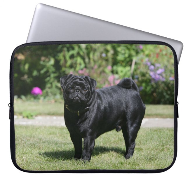 Black Pug Standing View Camera Laptop Sleeve (Voorkant)