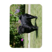 Black Pug Standing View Camera Magneet (Verticaal)