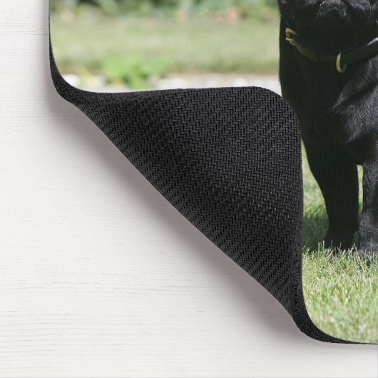 Black Pug Standing View Camera Muismat (Hoek)