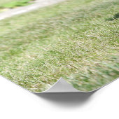 Black Pug Standing View Camera Poster (Hoek)