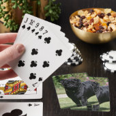 Black Pug Standing View Camera Speelkaarten (Insitu)