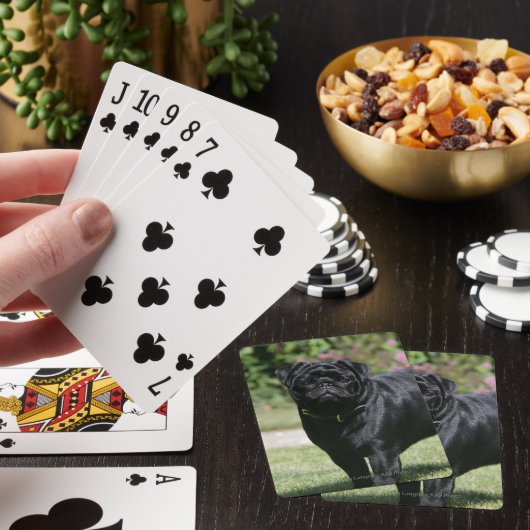 Black Pug Standing View Camera Speelkaarten (Insitu)