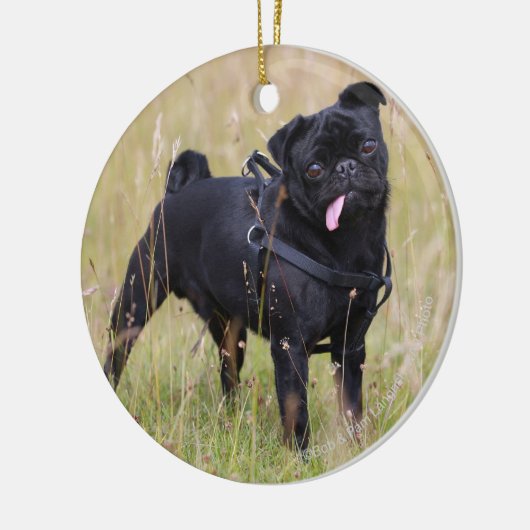 Black Pug Stikking Out Tounge Keramisch Ornament (Links)