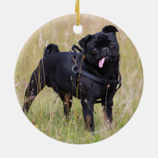 Black Pug Stikking Out Tounge Keramisch Ornament (Achterkant)