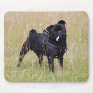 Black Pug Stikking Out Tounge Muismat