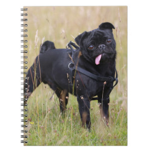 Black Pug Stikking Out Tounge Notitieboek