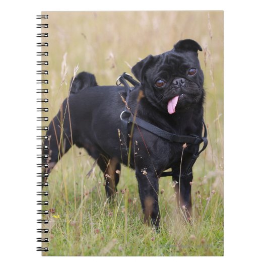 Black Pug Stikking Out Tounge Notitieboek (Voorkant)