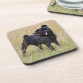 Black Pug Stikking Out Tounge Onderzetter (Linkerzijde)