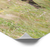 Black Pug Stikking Out Tounge Poster (Hoek)