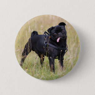 Black Pug Stikking Out Tounge Ronde Button 5,7 Cm