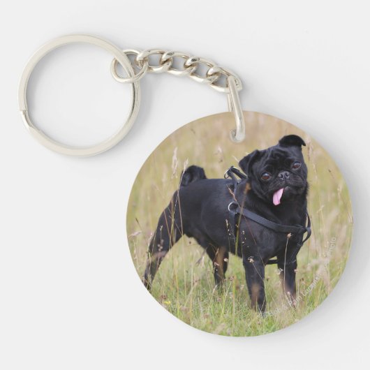 Black Pug Stikking Out Tounge Sleutelhanger (Voorkant)