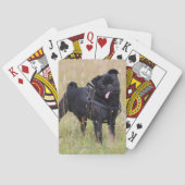 Black Pug Stikking Out Tounge Speelkaarten (Achterkant)