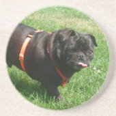 Black PUG Zandsteen Onderzetter (Voorkant)