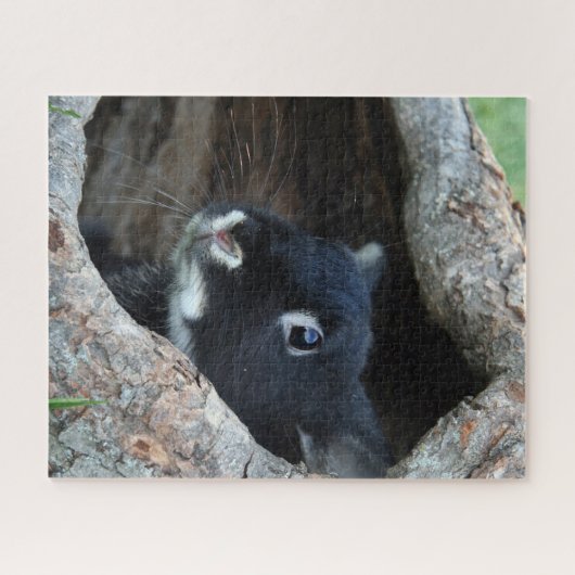 Black Rabbit in Hollow of a Tree Photo Legpuzzel (Horizontaal)