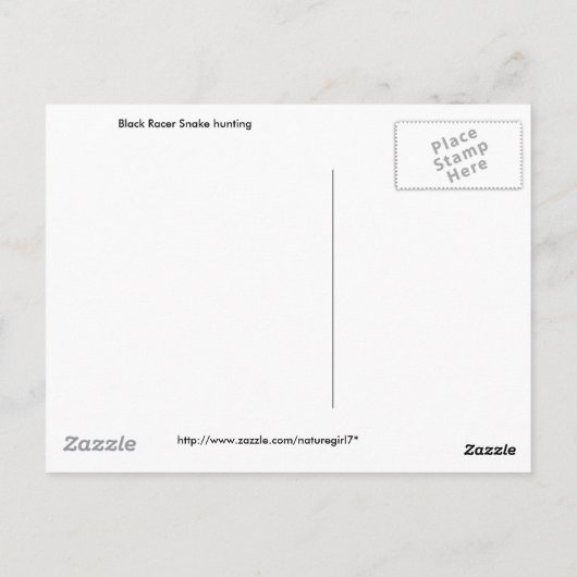 Black Racer Hunting Briefkaart (Achterkant)
