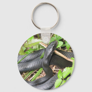 Black Racer Snake Sunning Sleutelhanger