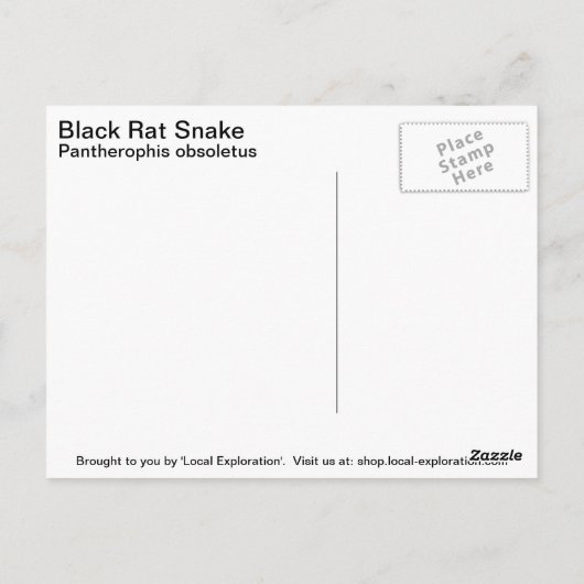 Black Rat Snake Briefkaart (Achterkant)