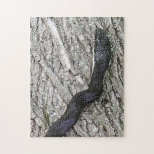 Black Rat Snake Legpuzzel