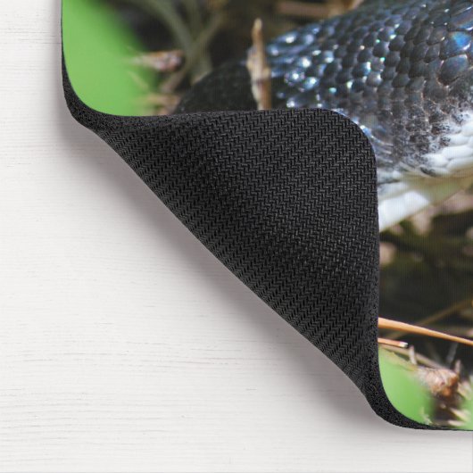 Black Rat Snake mousepad Muismat (Hoek)