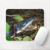 Black Rat Snake mousepad Muismat (Met muis)