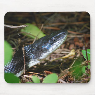 Black Rat Snake mousepad Muismat