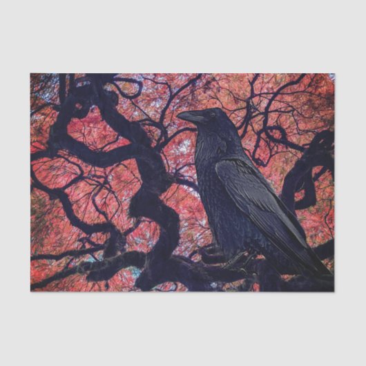 Black Raven and Gnarly Japanese Maple Tissuepapier (Voorkant)