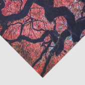 Black Raven and Gnarly Japanese Maple Tissuepapier (Detail)