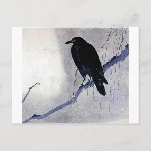 Black Raven Bird Briefkaart (Voorkant)