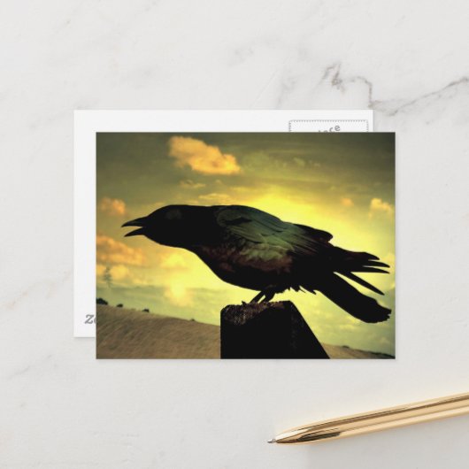 Black Raven Briefkaart (Voorkant / Achterkant in situ)