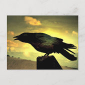 Black Raven Briefkaart (Voorkant)