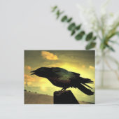 Black Raven Briefkaart (Staand voorkant)