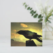 Black Raven Briefkaart (Staand voorkant)