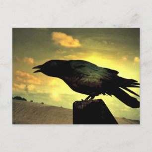 Black Raven Briefkaart