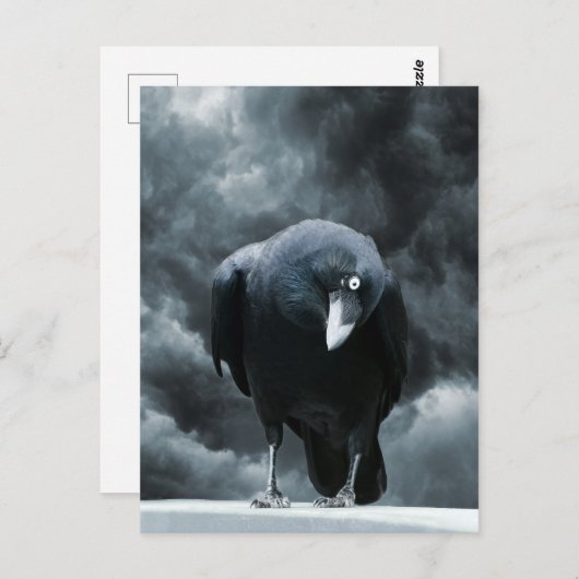 Black Raven Briefkaart (Voorkant / Achterkant)