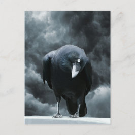 Black Raven Briefkaart