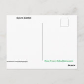 Black Raven - briefkaart (Achterkant)