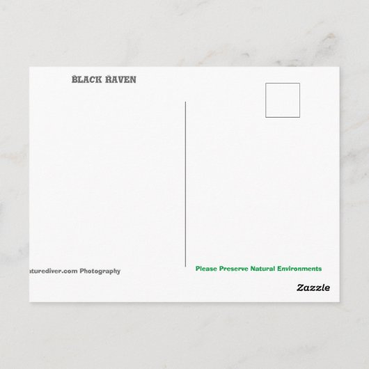 Black Raven - briefkaart (Achterkant)