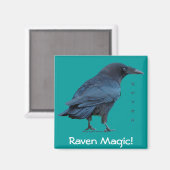 Black Raven Collectie III Magneet (Voorkant / Achterkant)