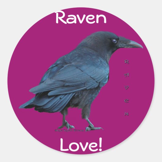 Black Raven Collectie III Ronde Sticker (Voorkant)