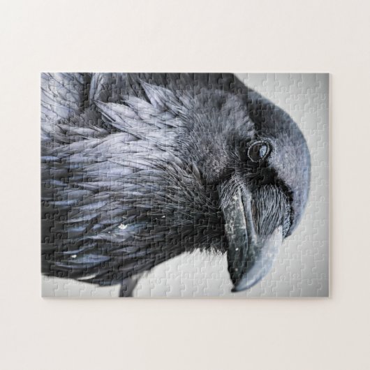 Black Raven Crow Bird Legpuzzel (Horizontaal)