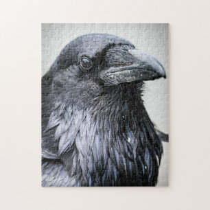 Black Raven Crow Bird Legpuzzel