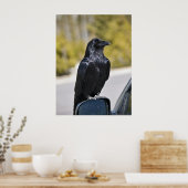 Black Raven - Fine Art Print (Keuken)