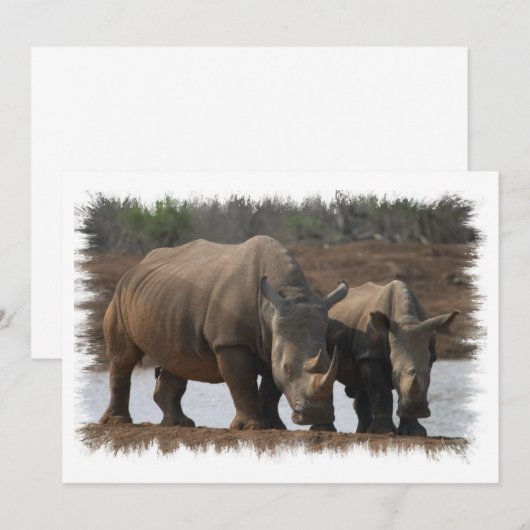 Black Rhino Invitation Kaart (Voorkant / Achterkant)