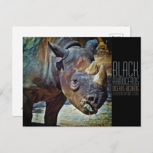 Black Rhinoceros [Briefkaart] Briefkaart (Voorkant / Achterkant)