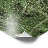 Black Rhinoceros, Diceros bicornis, Kenia Foto Afdruk (Hoek)