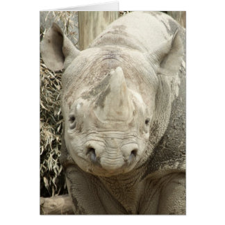 Black Rhinoceros-kaart