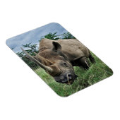 Black Rhinoceros | Kenia Magneet (Rechterzijde)