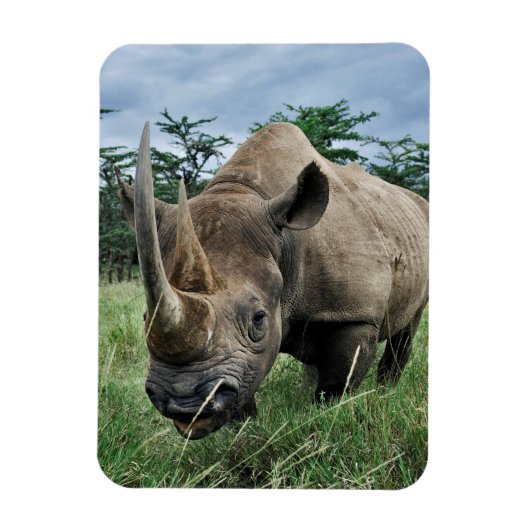 Black Rhinoceros | Kenia Magneet (Verticaal)
